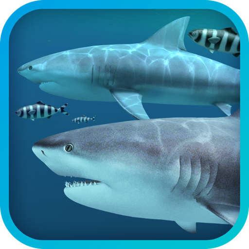 Sharks 3D for Mac(3D鲨鱼动态壁纸)