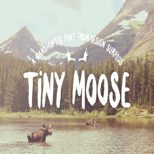 手绘复古乡村字体Tiny Moose Font