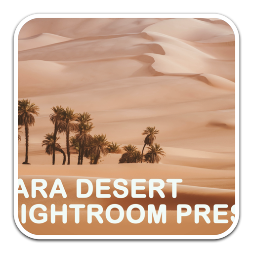 撒哈拉沙漠旅拍经典调色LR预设