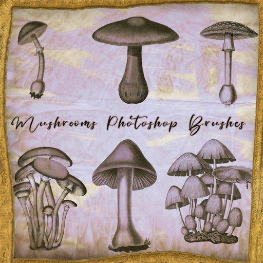 复古蘑菇图案PS笔刷