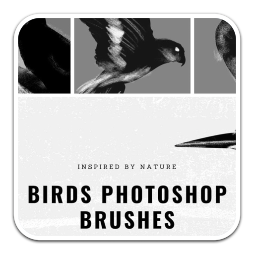 14种黑白鸟类Photoshop笔刷
