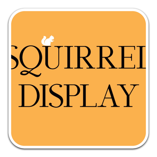 精致的衬线英文字体Squirrel Display