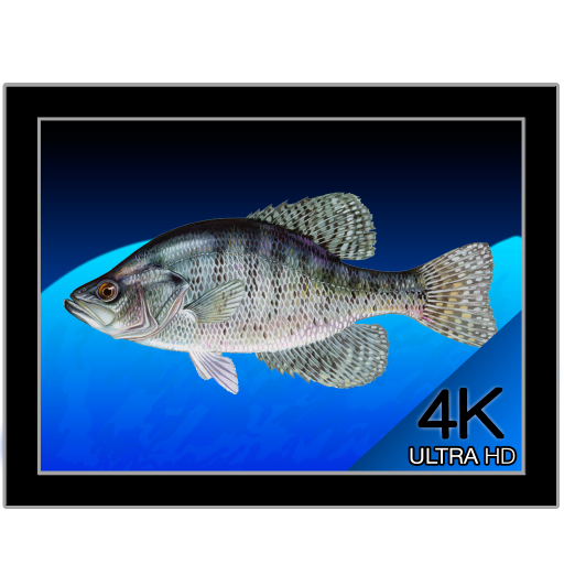 Aquarium 4K for Mac(4K动态水族馆壁纸)