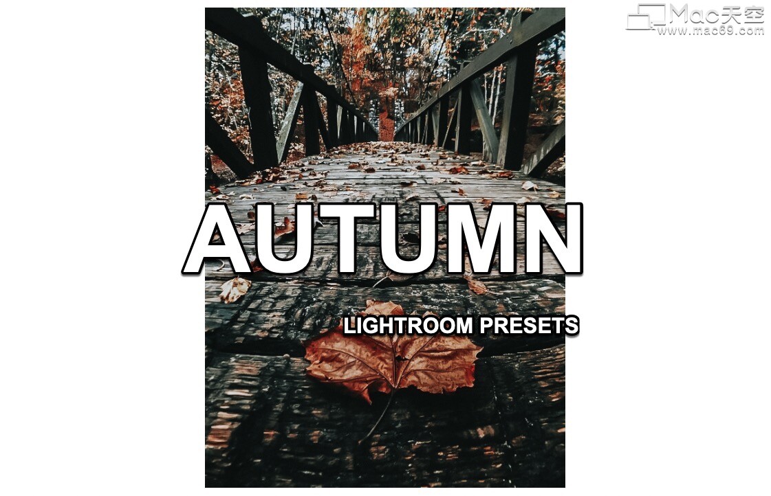 5个秋季摄影后期Lightroom预设