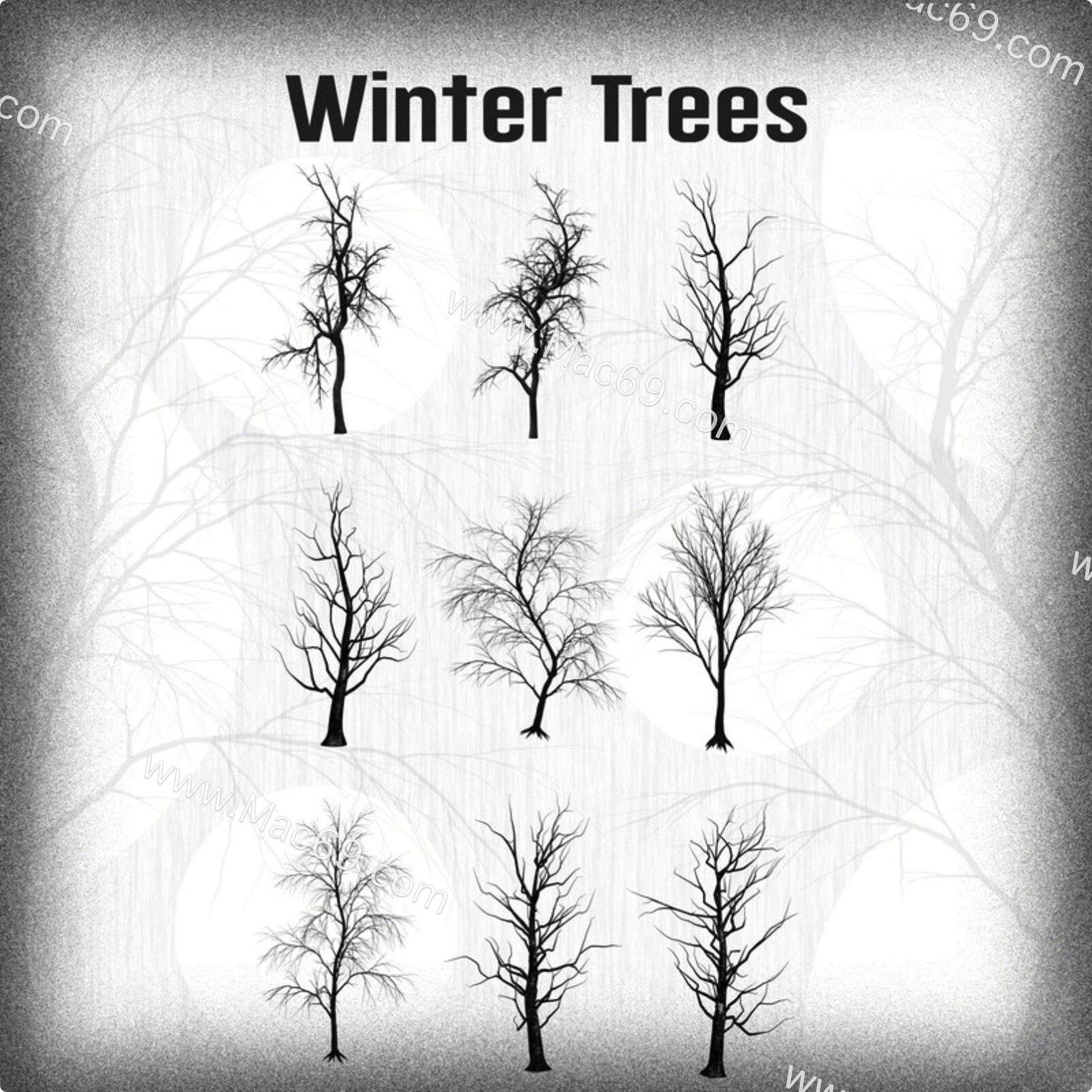冬季干枯树枝树木效果Photoshop笔刷