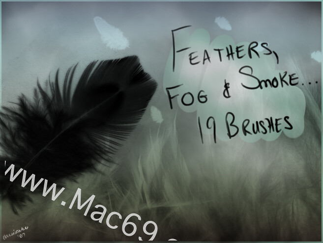 雾、羽毛和烟photoshop笔刷