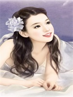 盖世王婿