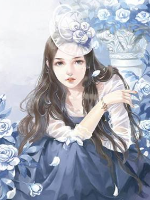 杨战林婉儿小说