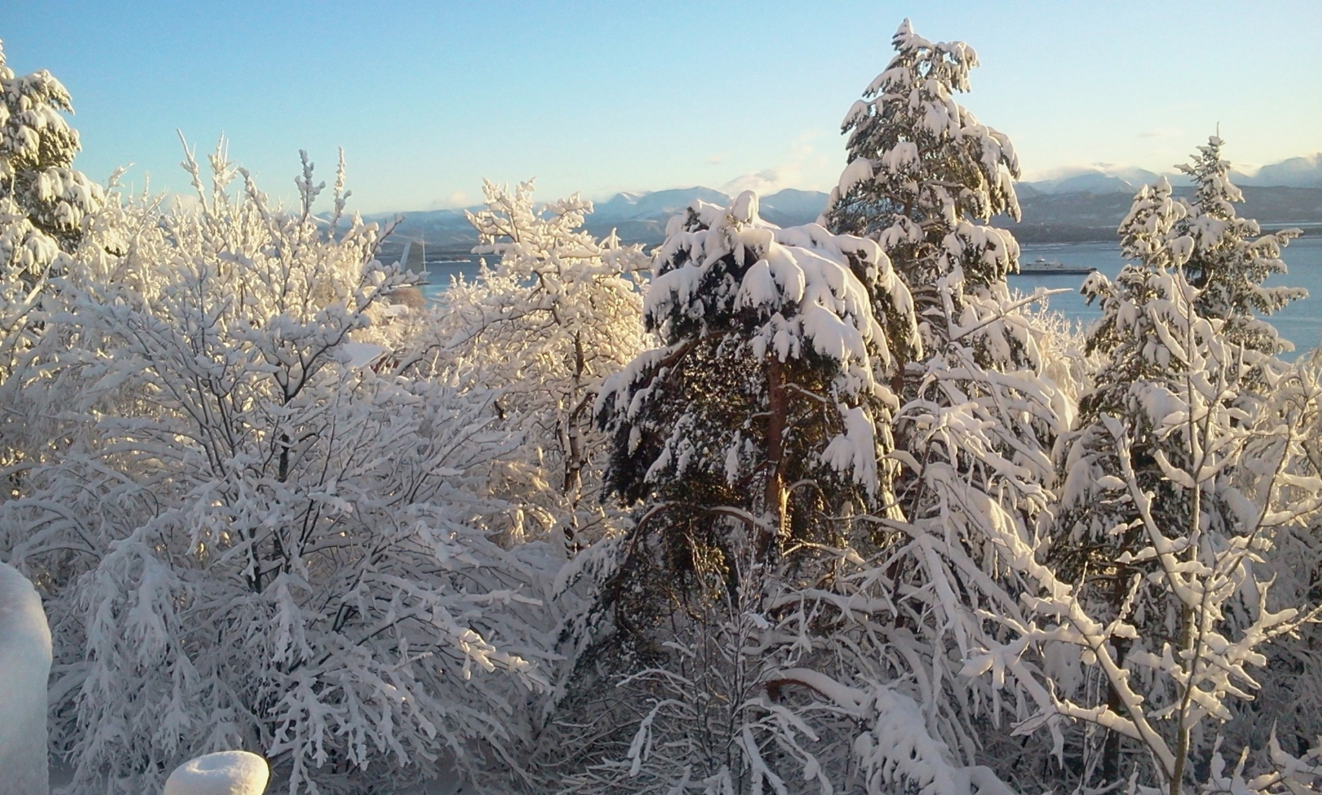 唯美冬天雪景动态壁纸