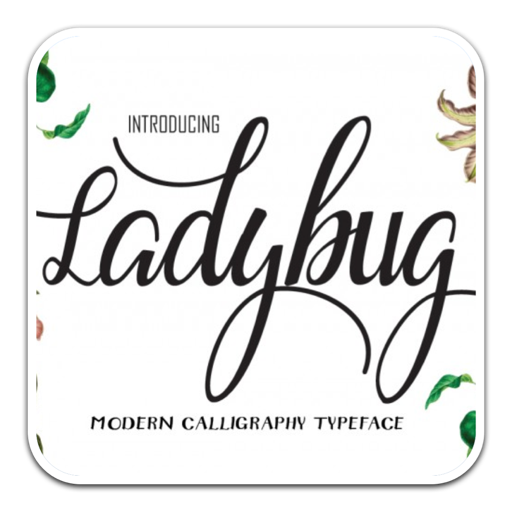 美丽独特粗体字体Ladybug