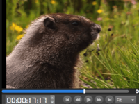 如何使用MovieMator Video Editor创建镜像效果视频？