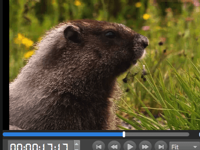 MovieMator Video Editor Pro如何制作镜像效果视频？