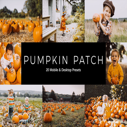 20 Pumpkin Patch Lightroom Presets(秋季风景调色lr/ps/luts调色预设)