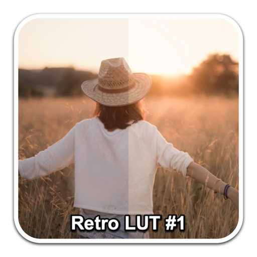 20 Retro LUTs Pack(复古色调luts调色预设)