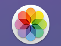 如何使用Mac自带的“照片”为图片调整滤镜！