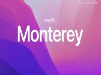 更新macOS Monterey后遇到的各种Bug问题及解决方法