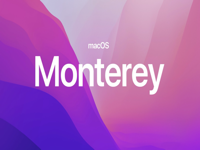 更新macOS Monterey后遇到的各种Bug及解决方法