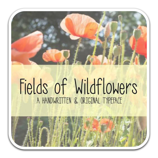 MRF Fields of Wildflowers自由田野气息字体