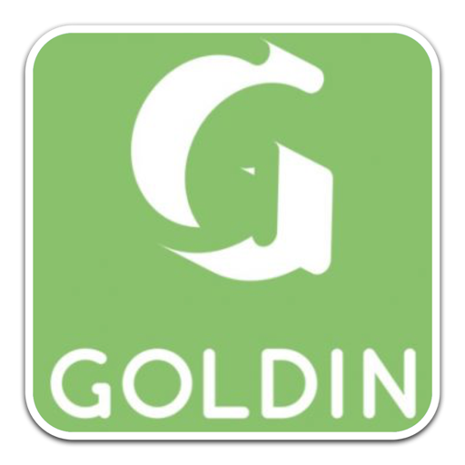 Goldin简单通用英文字体