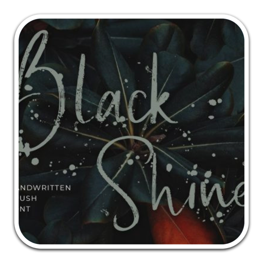 Black Shine流动的拉丝书法字体