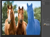 PhotoShop 2022 mac版新增功能