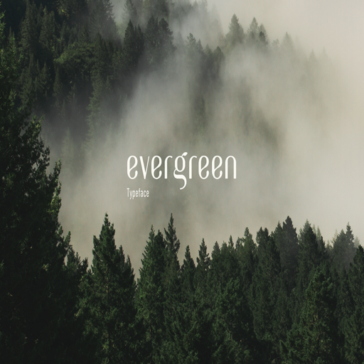 无衬线英文字体Evergreen