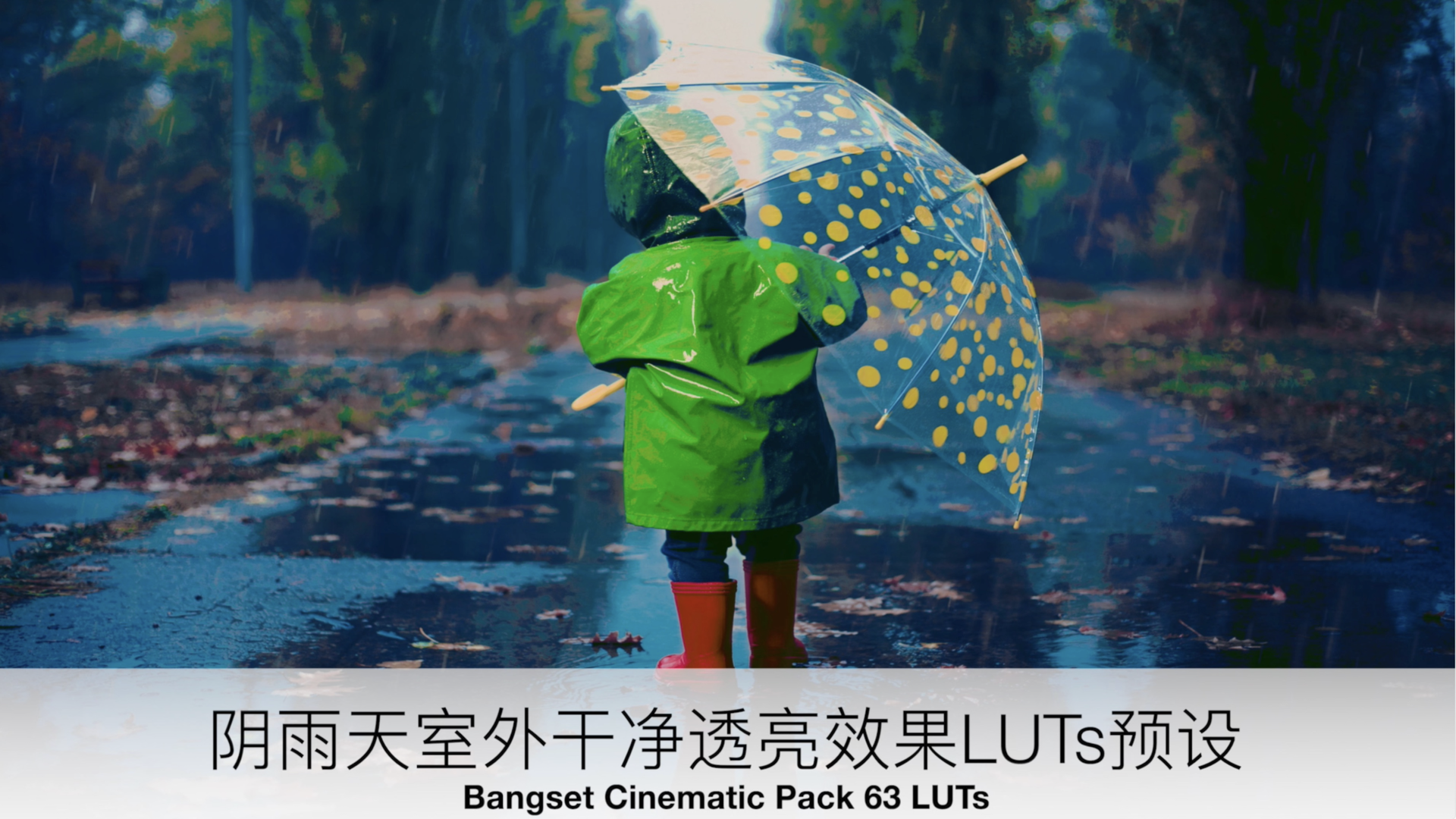 阴雨天室外干净透亮效果LUTs预设