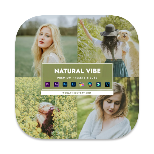 Natural Vibe mac(17个白平衡照片调色lut预设)