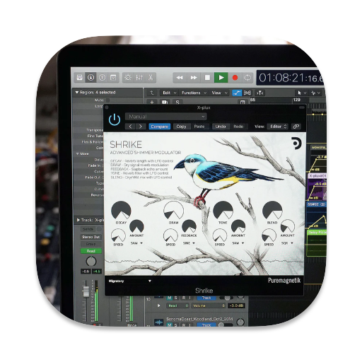 Puremagnetik Shrike for mac(高级混响调制插件)